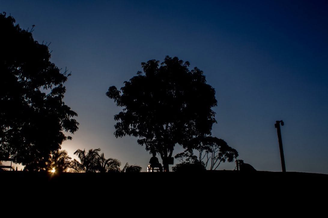 Silhueta das árvores contra o céu azul escuro, logo depois do sol se pôr